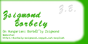 zsigmond borbely business card